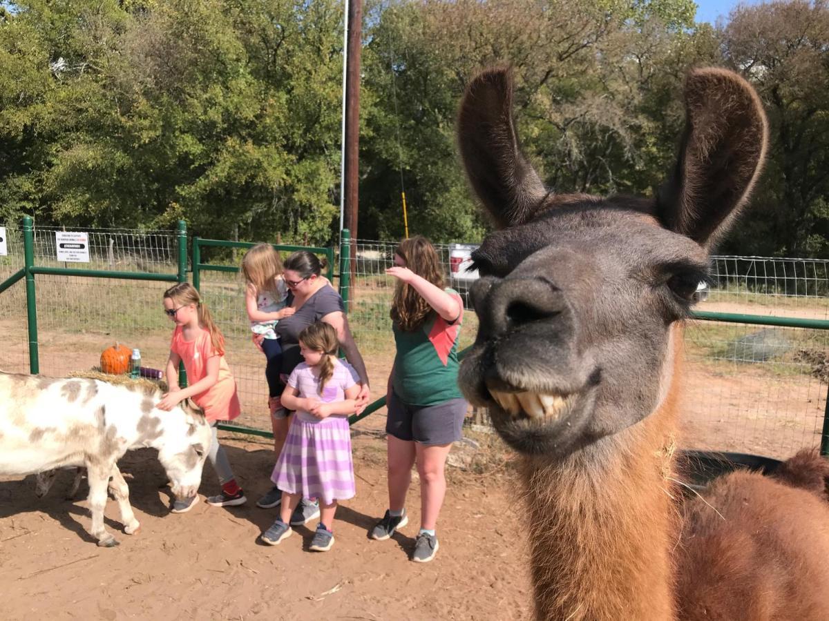 Stay On A 350-Acre Cattle Ranch! Brazos River! Tubing! Petting Zoo! Weatherford Dış mekan fotoğraf
