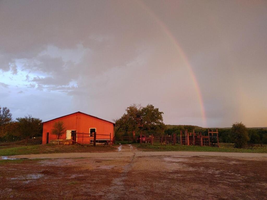 Stay On A 350-Acre Cattle Ranch! Brazos River! Tubing! Petting Zoo! Weatherford Dış mekan fotoğraf
